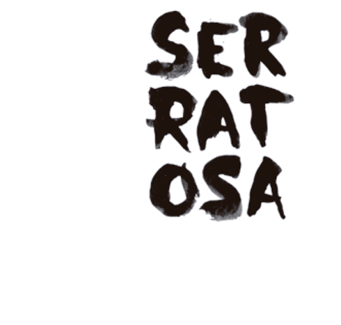 Miquel Serratosa